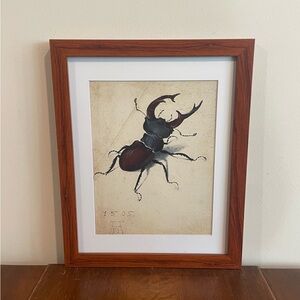 Albrecht Durer Stag Beetle Framed Print 12x15 German Renaissance Insect Wall Art